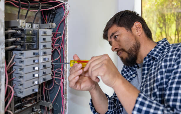 Best Local Electrician Companies  in Orlinda, TN